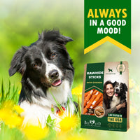 Dog Rawhide Sticks Wrapped with Chicken & Pet Natural Chew Treats for dogs — Beloved Pets, photo 8 — photo 8