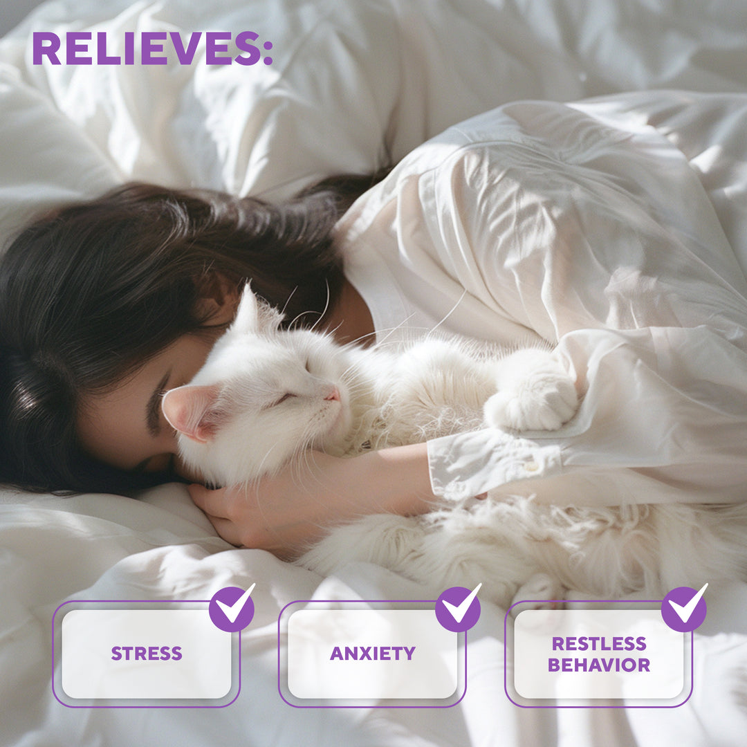 Cat Calming Pheromone Diffuser Kit | Improved DE-Stress Formula | Anti-Anxiety Treatment for Cats | Reduces Stress, Scratching, Fighting & Other Problematic Behavior (3 Diffusers + 6 Refills)