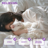 Cat Calming Diffuser Kit for cats — Beloved Pets, photo 5 — photo 5