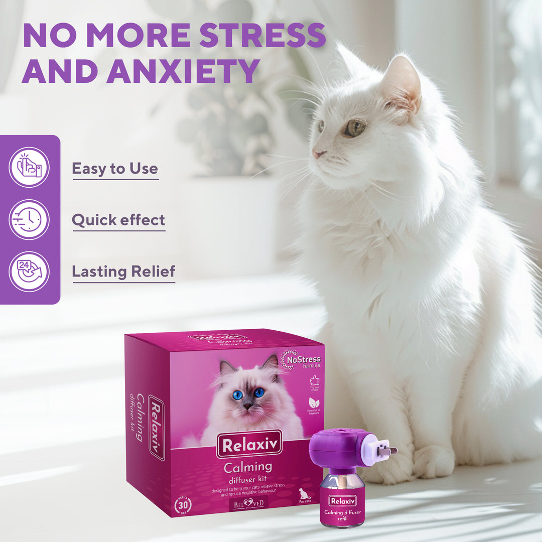 Calming Cat Diffuser Refill & Anti Anxiety Pet Products - Feline Calm Pheromones & Cats Comfort - Stress Relief with New Zone, Fighting with Dogs & Behavior Control (2 Refills (Diffuser not included))