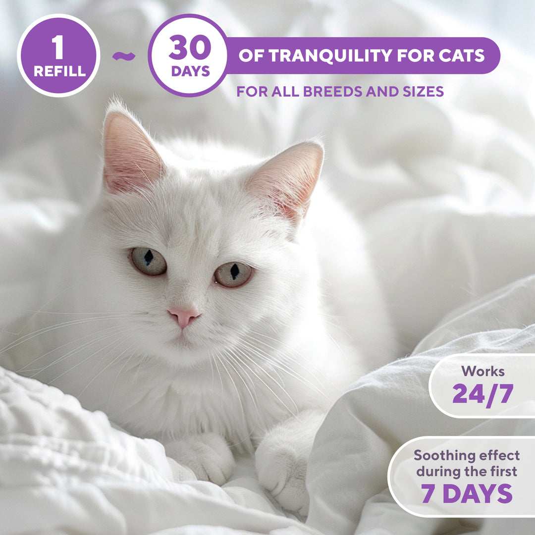 Calming Cat Diffuser Refill & Anti Anxiety Pet Products - Feline Calm Pheromones & Cats Comfort - Stress Relief with New Zone, Fighting with Dogs & Behavior Control (2 Refills (Diffuser not included))