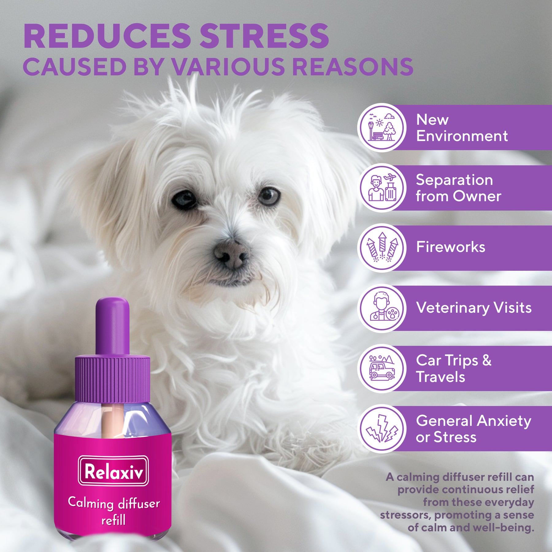 Pheromone spray for dog anxiety shop