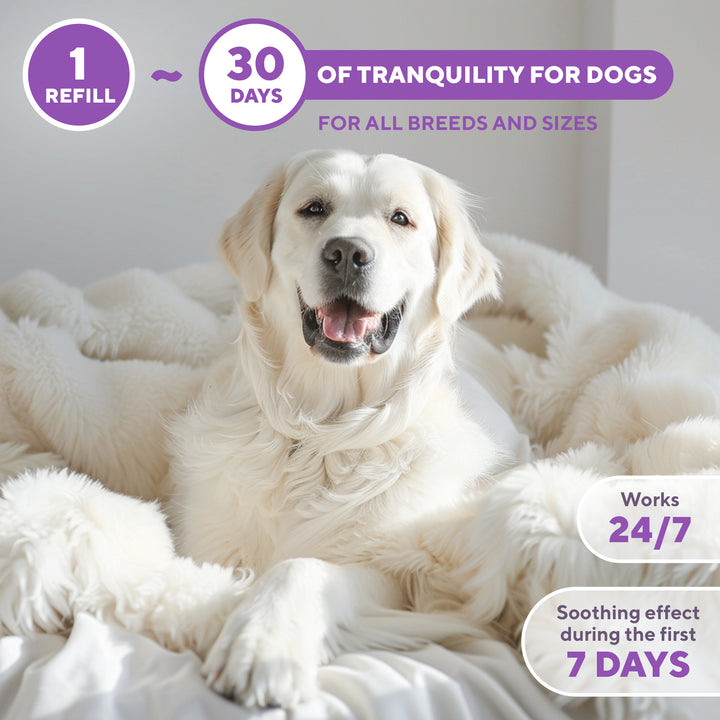 Relaxiv Dog Calming Pheromone Diffuser Refill 2 Pack | Improved in Germany DE-Stress Formula | Anti-Anxiety Treatment for Cats | Reduce Spraying, Scratching, Fighting