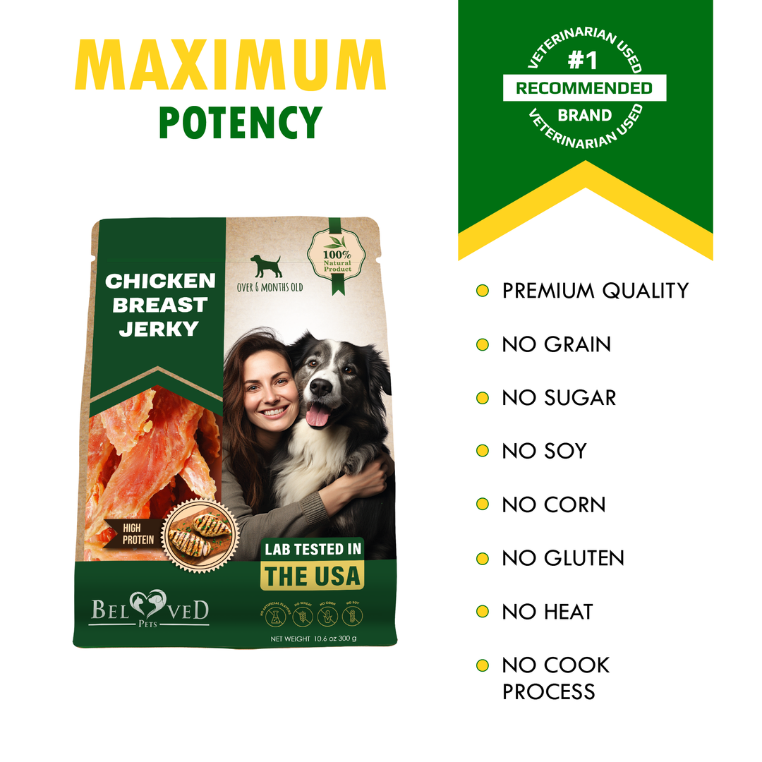 Beloved Pets Chicken Jerky Dog Treats & All Natural and Organic Healthy Snacks for Large & Small Dogs - Grain Free and High Protein - Human Grade Pet Chews