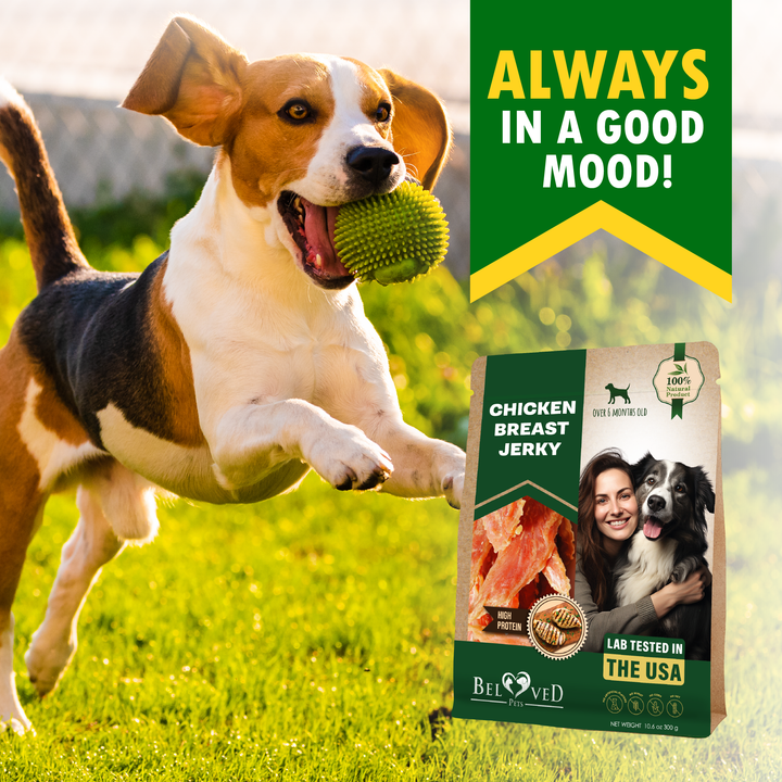 Beloved Pets Chicken Jerky Dog Treats & All Natural and Organic Healthy Snacks for Large & Small Dogs - Grain Free and High Protein - Human Grade Pet Chews