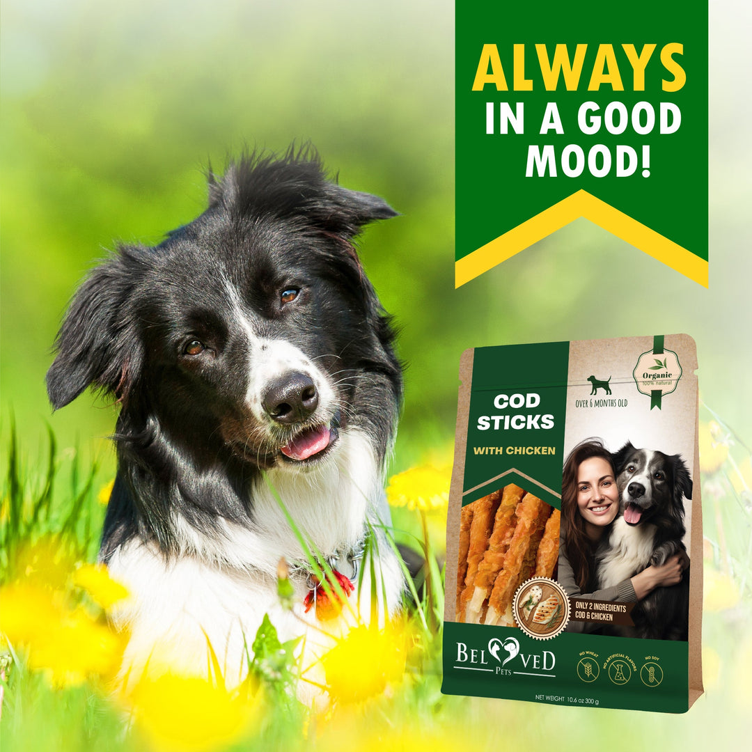 Beloved Pets Cod Sticks Dog Treats Chicken Wrapped - All Natural Rawhide - Free & Grain Free Long Lasting Chews for Large & Small Dogs - Organic Dried Pet Snacks - Support Healthy Teeth & Skin Coat