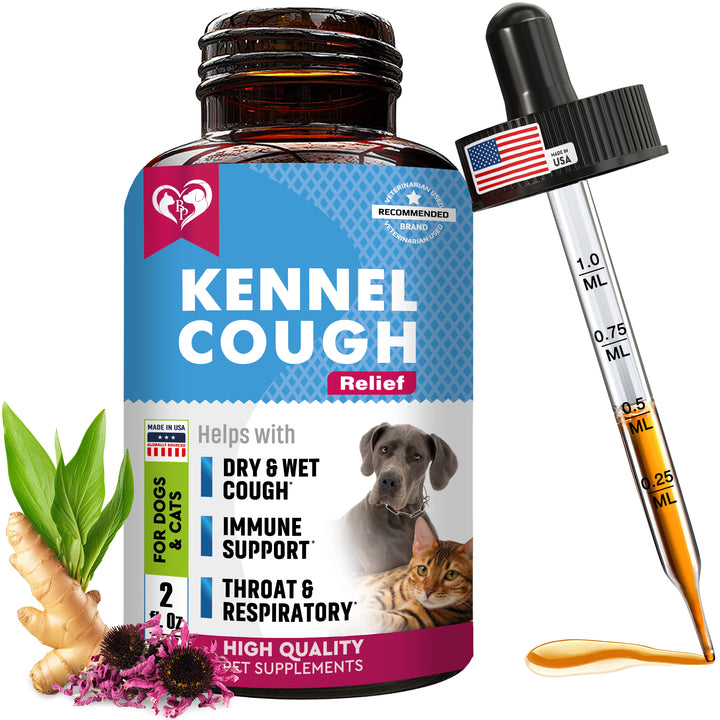 Kennel Cough Treatment & Natural Infection Medicine for Dogs & Cats - Respiratory & Cold Cough Relief - Collapse Trachea & Cat Asthma Support - Made in USA