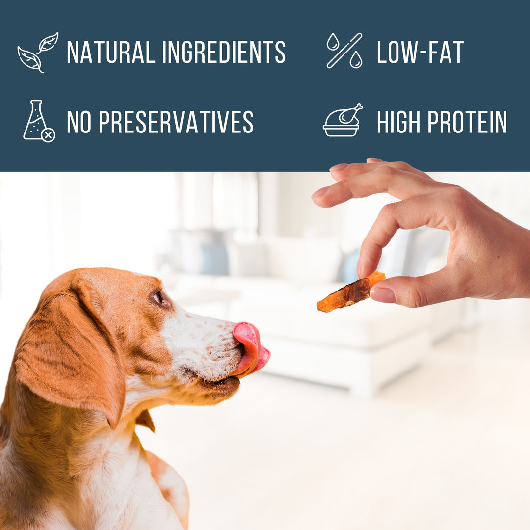 Sweet Potato Jerky Chicken Wraps - Dog Treats Human Grade - Grain Free Organic Meat - All Natural High Protein Dried Strips - Best Chews for Small & Large Dogs - Bulk Soft Pack Made for USA 24 Oz