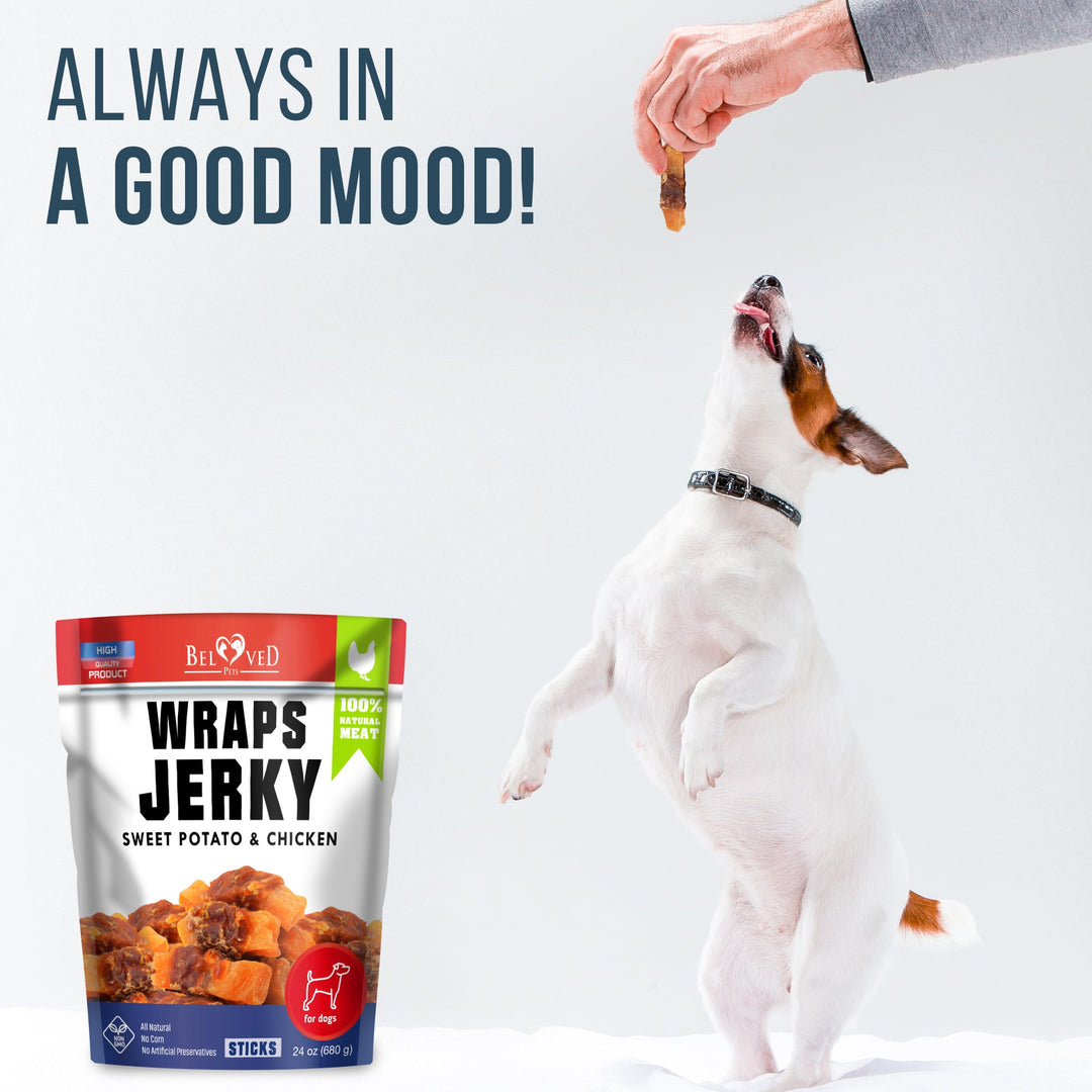 Sweet Potato Jerky Chicken Wraps - Dog Treats Human Grade - Grain Free Organic Meat - All Natural High Protein Dried Strips - Best Chews for Small & Large Dogs - Bulk Soft Pack Made for USA 24 Oz