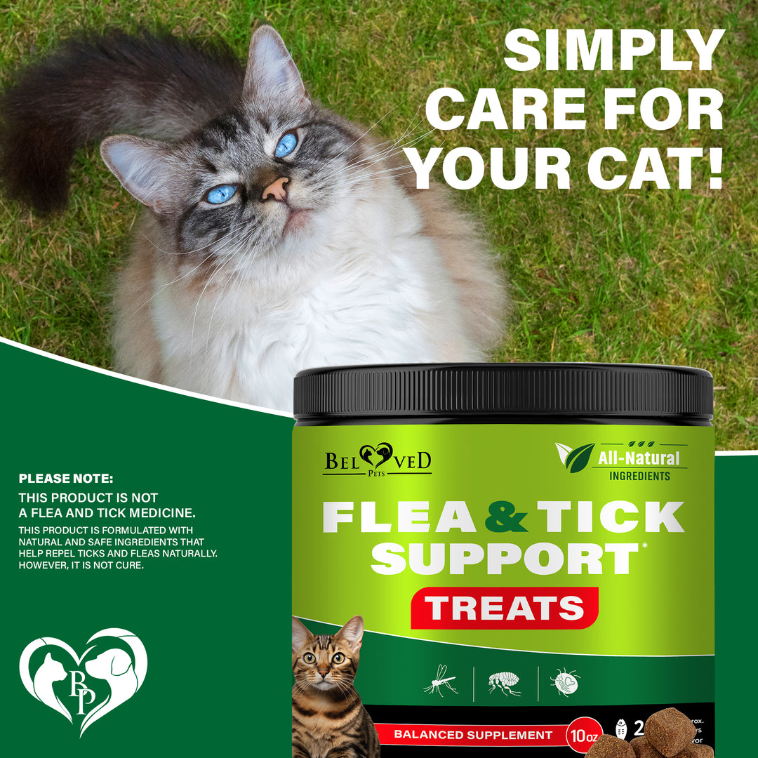 Flea and Tick Prevention Chewable Pills for Dogs and Cats - Revolution Oral Flea Treatment for Pets - Pest Control & Natural Defense - Chewables Small Tablets Made in USA (Salmon (for Cats))