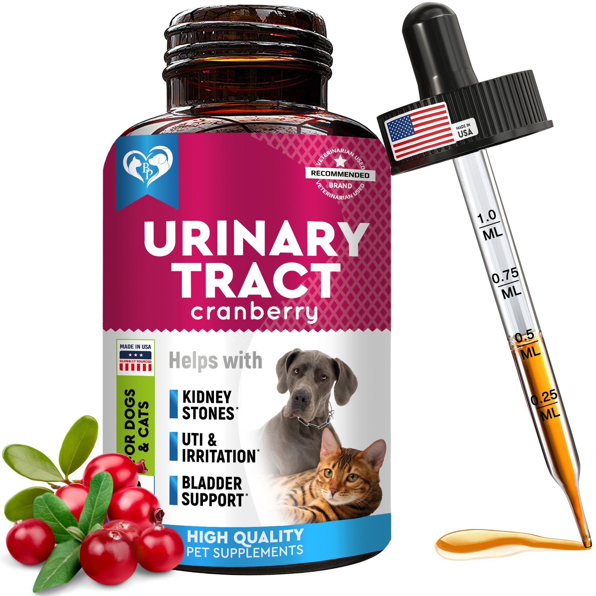 Cat uti medication hotsell