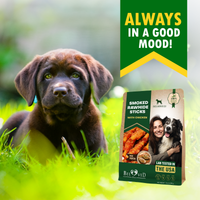 Smoked Chicken-Wrapped Rawhide Sticks for dogs — Beloved Pets, photo 7 — photo 7