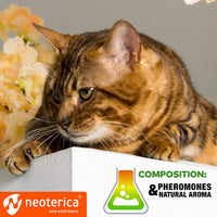 Cat Calming Spray for cats — Beloved Pets, photo 4 — photo 4