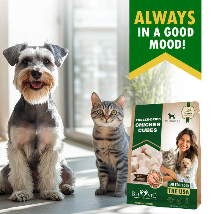 Freeze Dried Chicken Treats for Cats and Small Dogs - All Natural Meat Cubes Raw Pet Food - Human Grade High-Protein Snacks & Grain-Free Jerky Chews