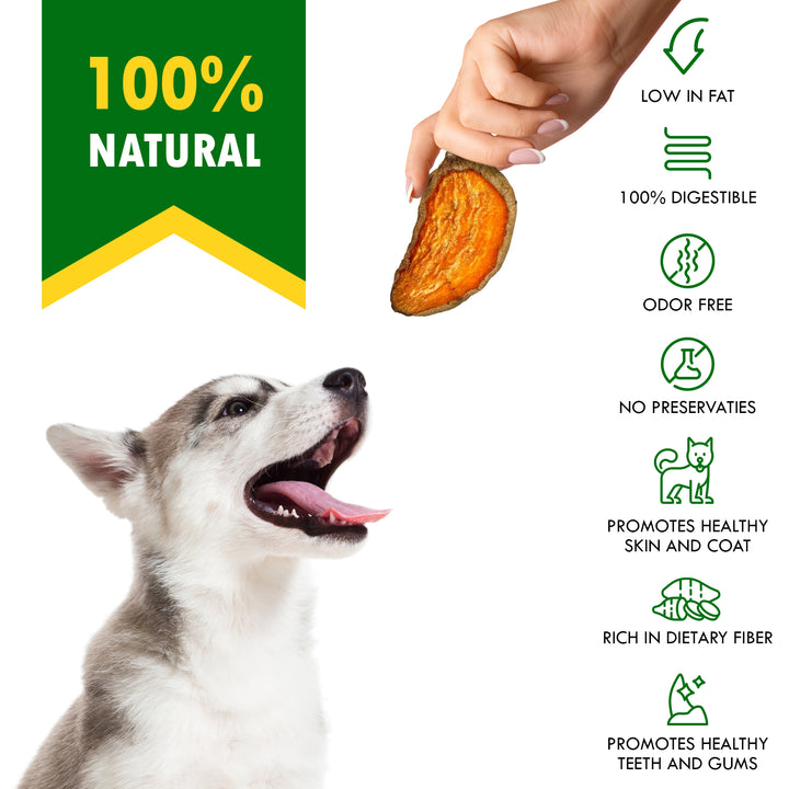 Sweet Potato Dog Treats Chips - All Natural Pet Snack Chews - Grain Free & Human Grade Dried Snacks in Bulk - Best Jerky for Training Small & Large Dogs