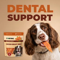TOBYDIC Chicken Breast Jerky — dental support, dog holding a jerky strip — photo 3