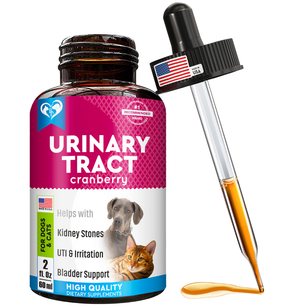 Cat Dog Urinary Tract Infection Treatment Natural UTI Medicine