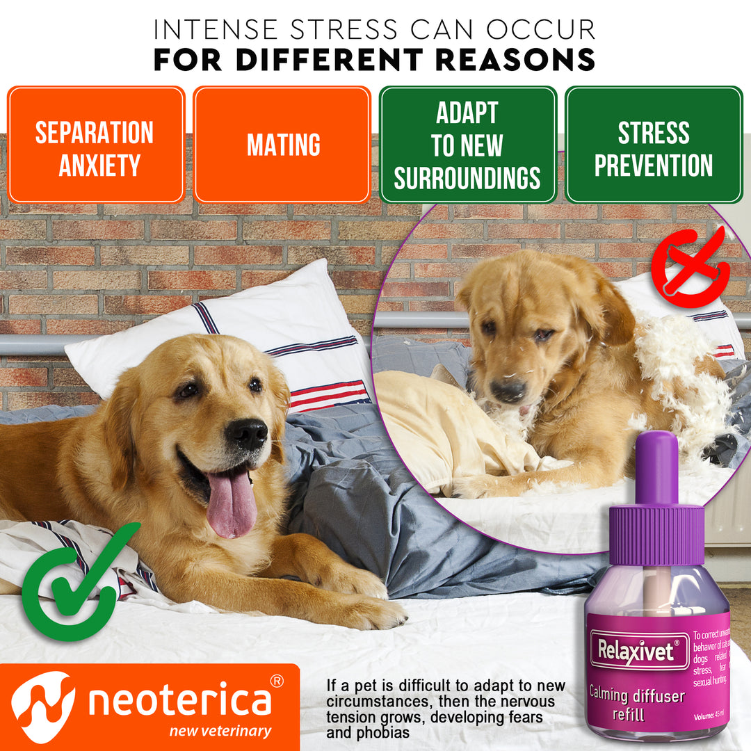 Relaxivet Dog Calming Pheromone Diffuser Refill 2 Pack | Improved in Germany DE-Stress Formula - Belovedpetsbrand