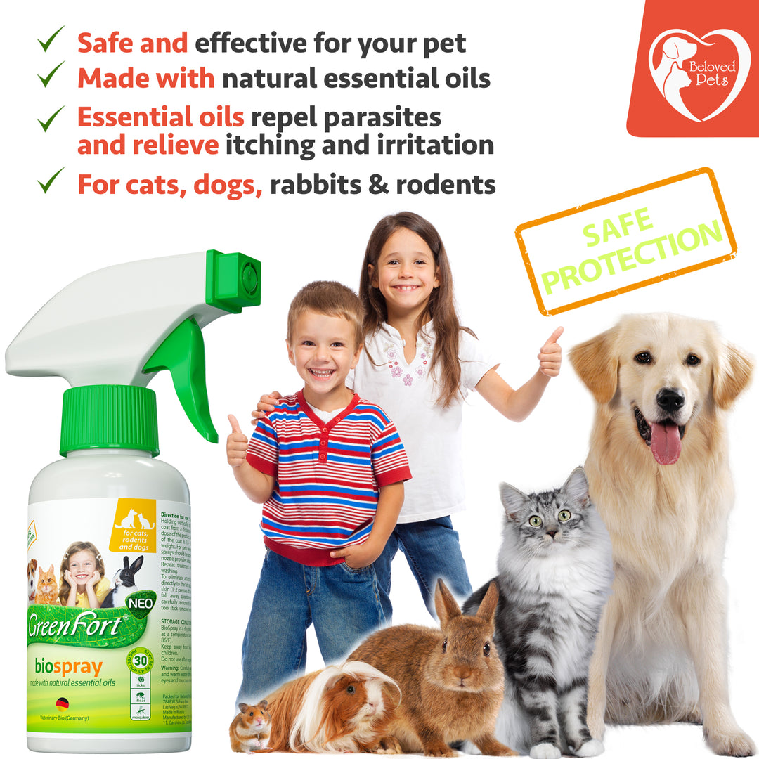 All Natural Flea Tick Home Spray for Dogs and Cats - Gentle Repellent and Safe Control - Recommended Flea Prevention for Pets - Belovedpetsbrand