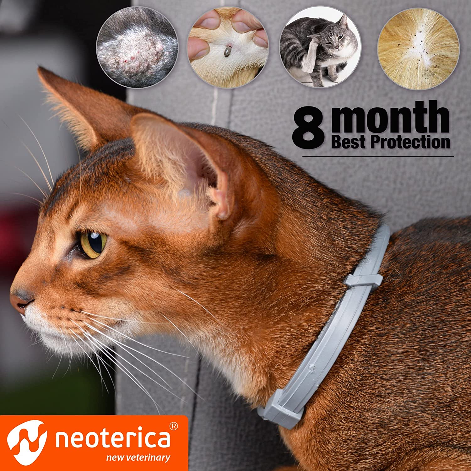 Best natural flea and tick outlet collar