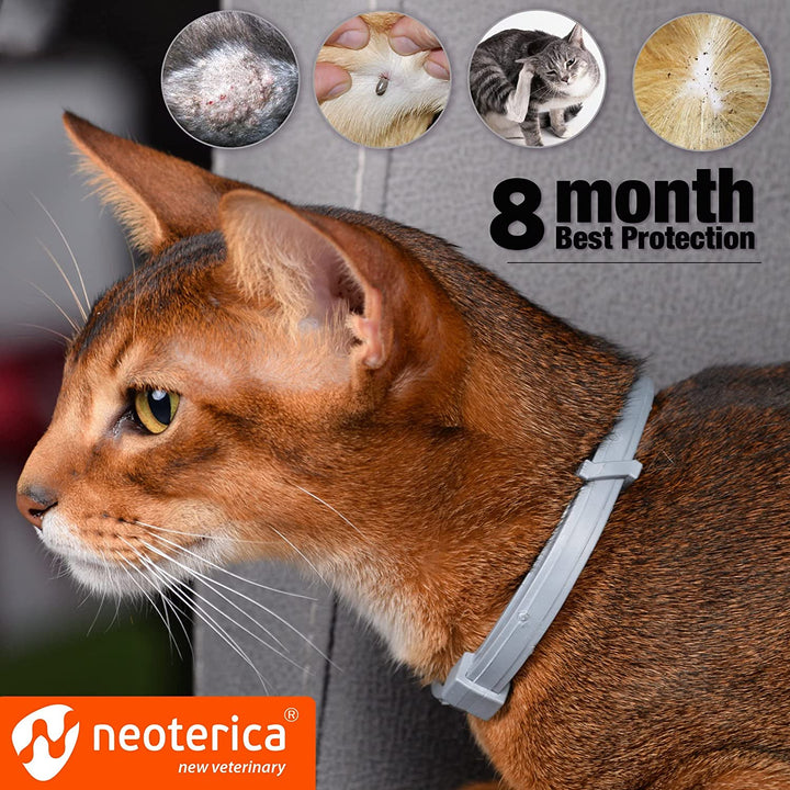 Natural Flea & Tick Collar for Cats - 6 Months Control of Best Prevention & Safe Treatment - Anti Fleas and Ticks Essential Oil Repellent (2 pieces)