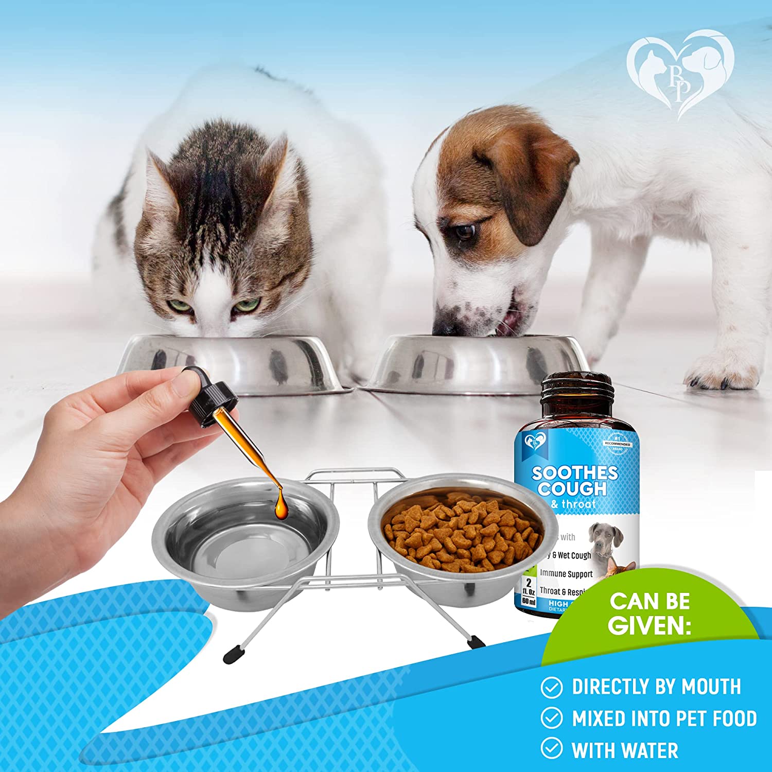 Kennel cough hotsell in cats treatment