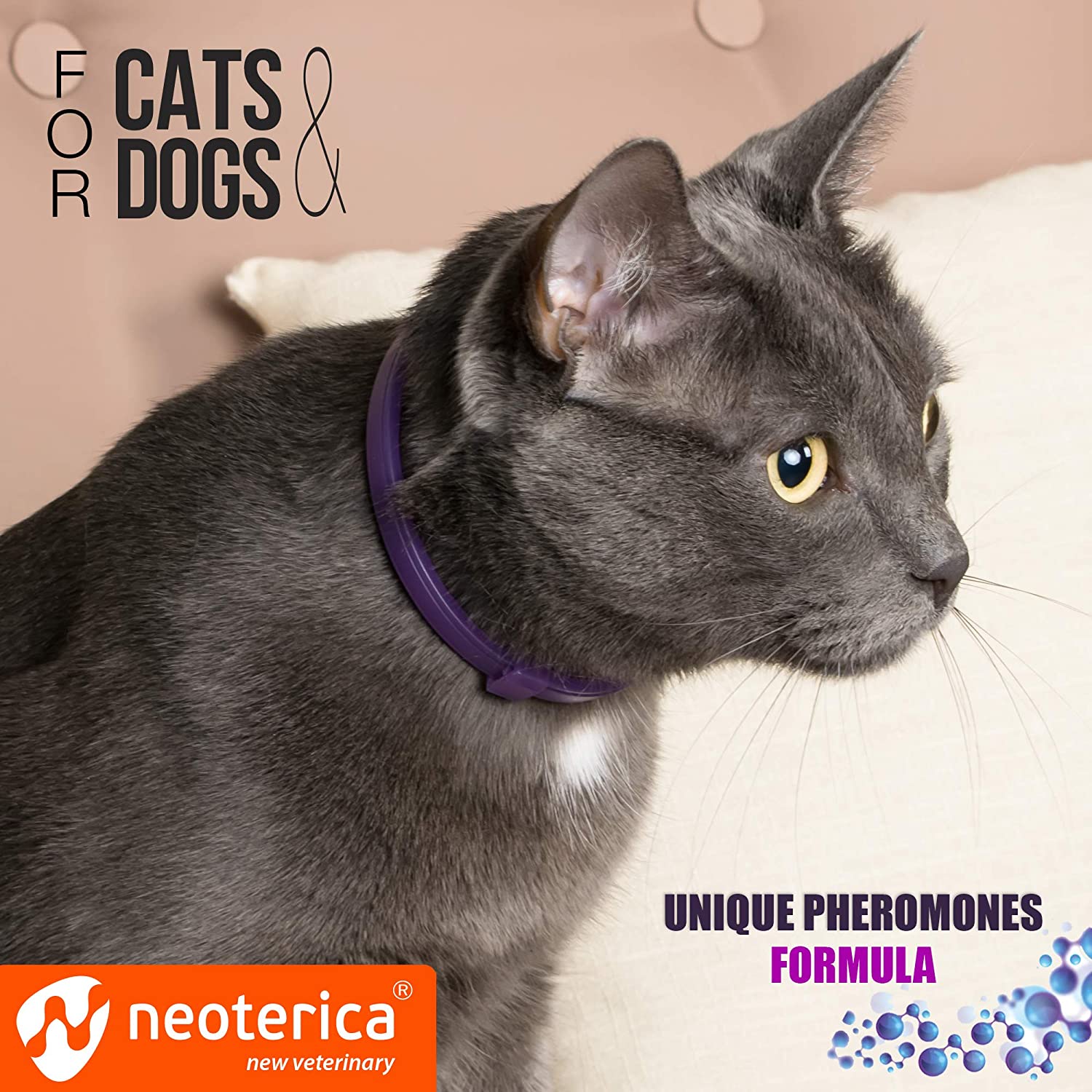 Best calming outlet collar for cats