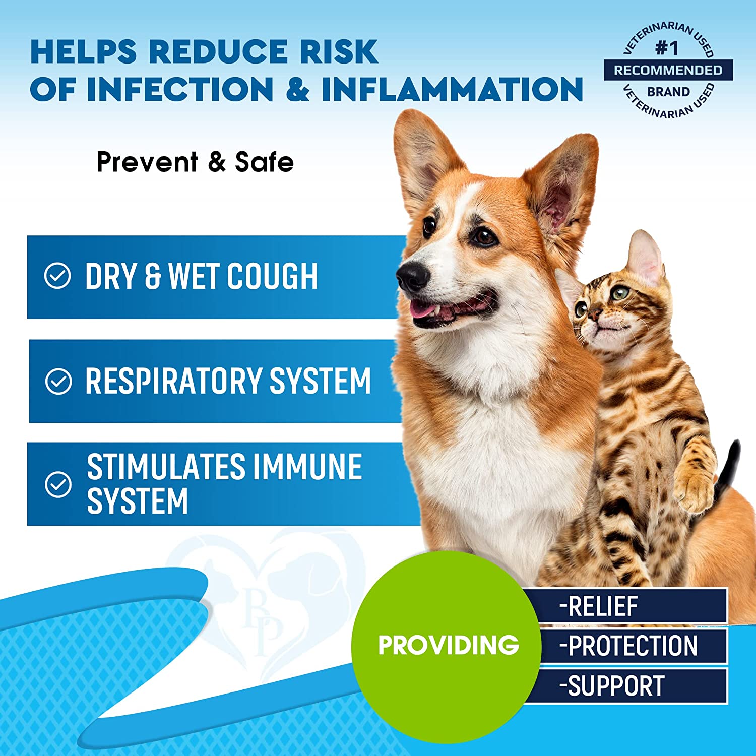 Kennel cough 2025 natural remedies