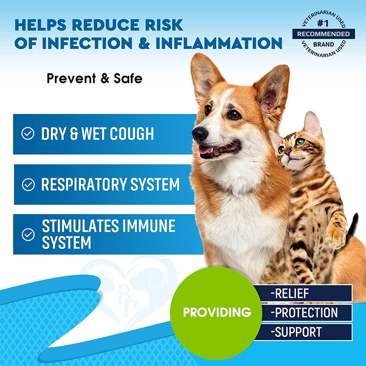 Kennel Cough Treatment & Natural Infection Medicine for Dogs & Cats - Respiratory & Cold Cough Relief