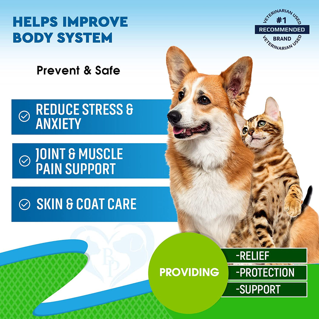 Cat & Dog Hemp Oil Drops - Pet Calming Anti Anxiety & Herbal Stress Relief - Natural Organic Liquid Medication for Arthritis & Hip, Joint Pain Releaf