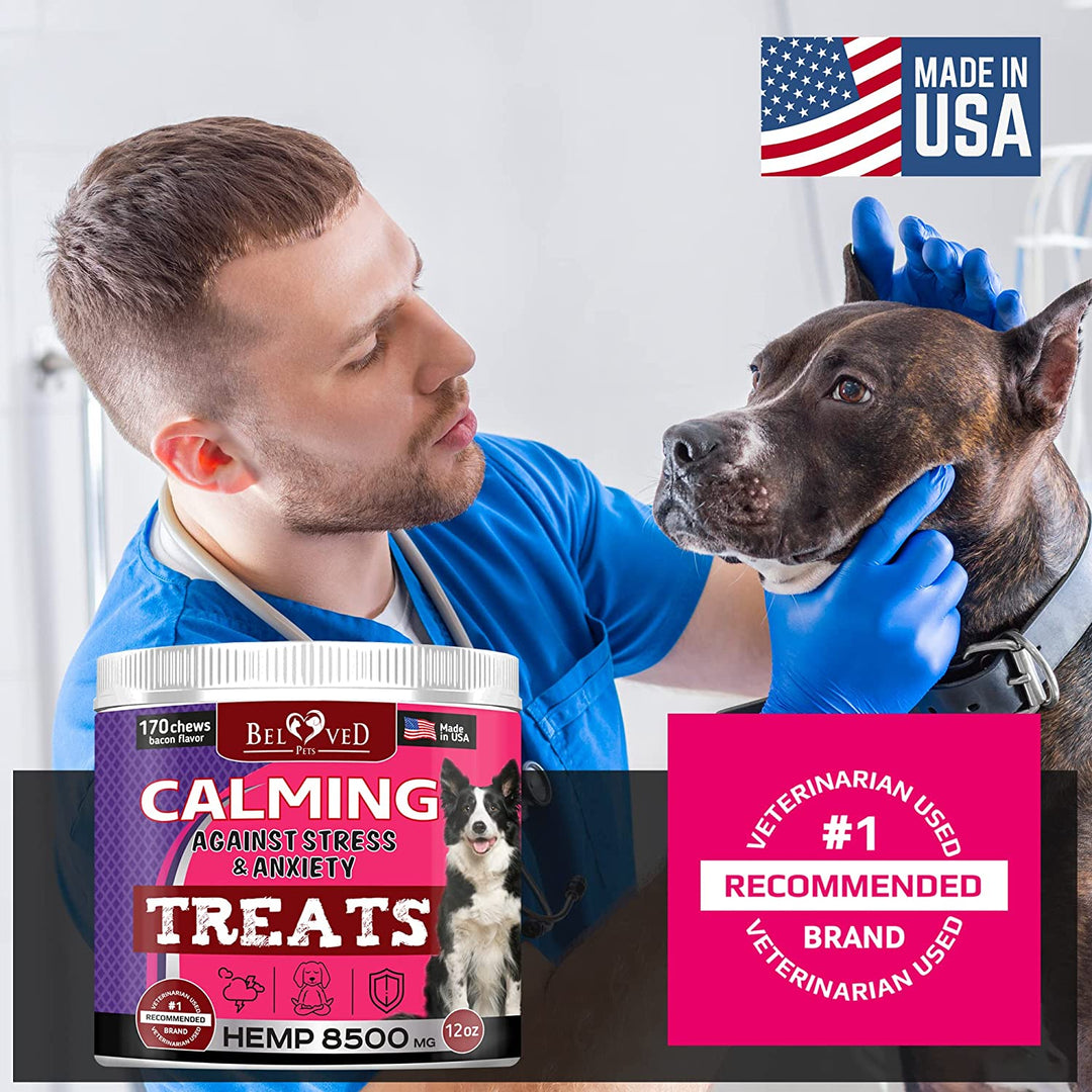 Calming Treats for Dogs - Advanced Anxiety and Stress Relief - Calm Behavior Bites with Organic Hemp Oil + Valerian - Storms, Fireworks, Separation, Barking Aid - Made in USA - 170 Soft Chews - Belovedpetsbrand