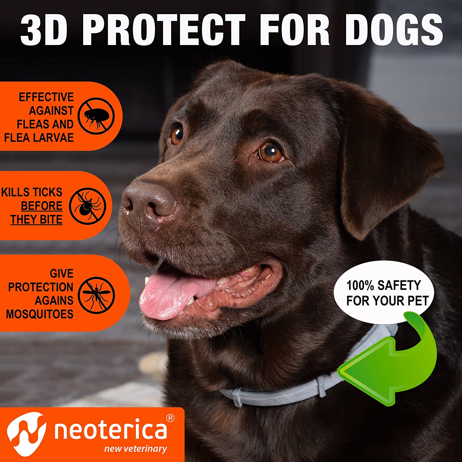 Preventic flea hotsell collar for dogs