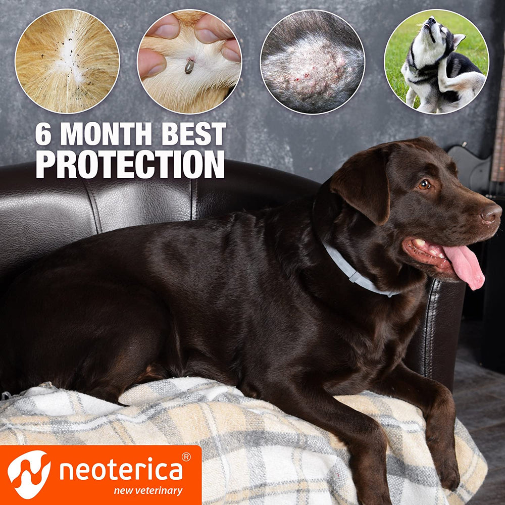 Rolf Club Bio Flea & Tick Collar for Dogs with 3D Level Protect | 6 Months Prevention & Waterproof Repellent | Knockdown Effect Repels Ticks Before Bite | Safe Treatment Control | For Dogs Up to 65 Lb - Belovedpetsbrand