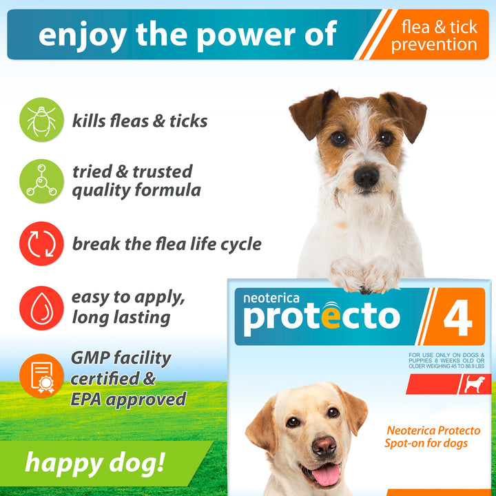 Neoterica Protecto 4 - Flea and Tick Prevention for Large Medium Small Dogs - 4 piece per pack - Belovedpetsbrand