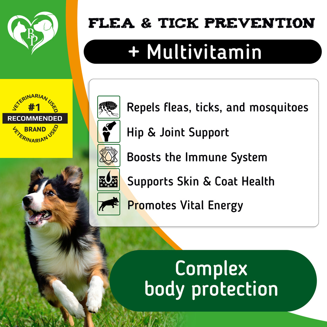 Flea and Tick Prevention Chewable Pills for Dogs - Revolution Oral Flea Treatment for Pets & Complex Multivitamin -Natural Pest Control & Defense Chews - Small Tablets Made in USA (10 Oz)