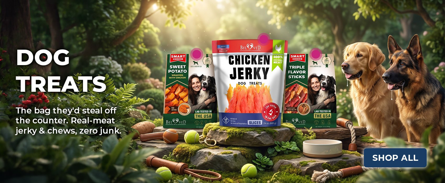 Dog Treats — real-meat jerky & chews
