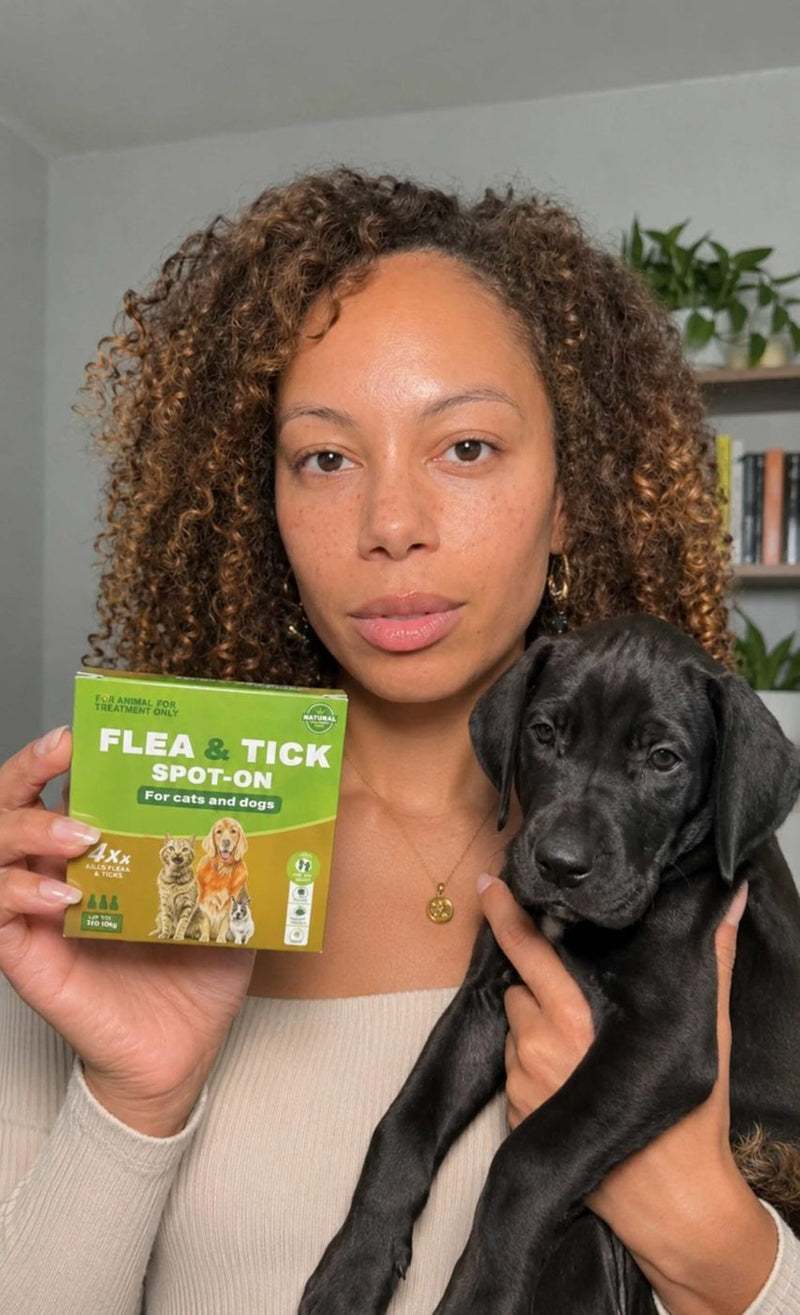 Puppy with flea & tick spot-on