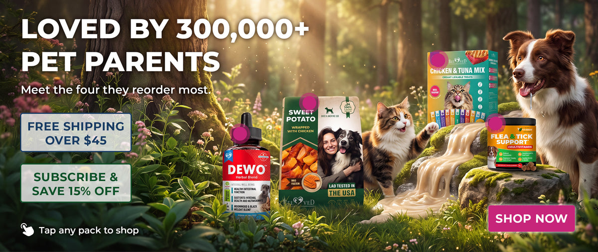 Loved by 300,000+ pet parents — four bestsellers from Beloved Pets: DEWO herbal blend drops, sweet potato chews wrapped with chicken, creamy lickable chicken and tuna cat treats, and flea and tick support with multivitamin