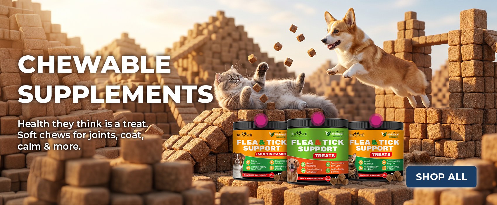 Chewable Supplements — soft chews for joints, coat & calm