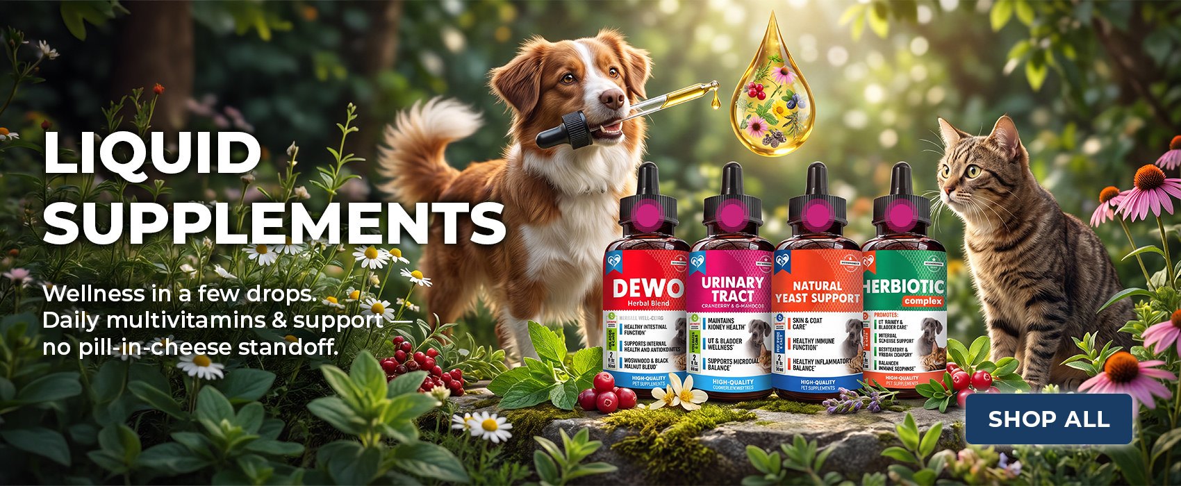 Liquid Supplements — daily wellness drops